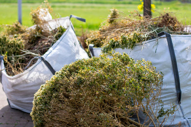 Best Same-Day Junk Removal  in Delaware, OH
